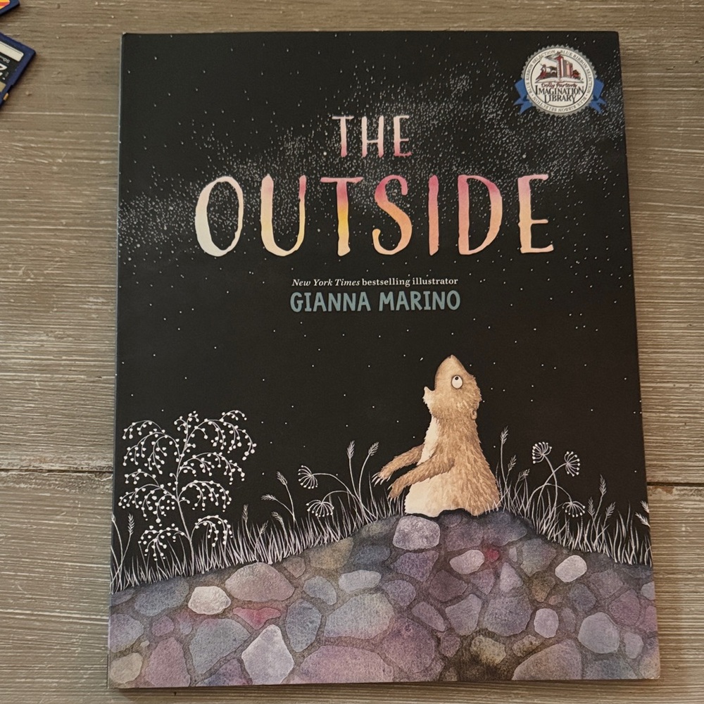 The Outside by Gianna Marino Book